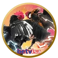 betvisa