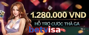 betvisa