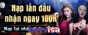 betvisa